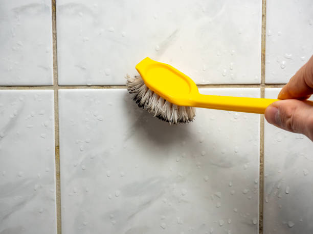 Best Mold Testing  in New Richmond, WI