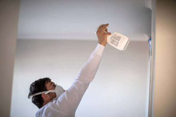 Best Crawl Space Mold Removal  in New Richmond, WI