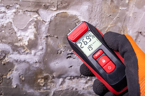 Best Mold Removal Company Near Me  in New Richmond, WI