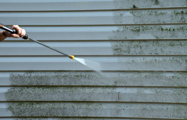 Best Residential Mold Removal  in New Richmond, WI